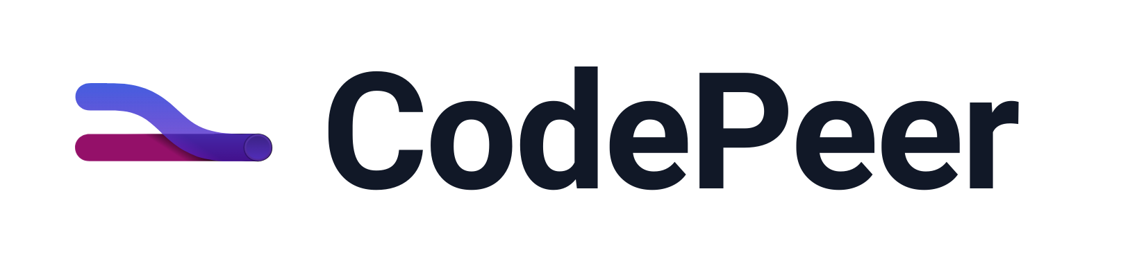 CodePeer Code Reviews